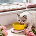 thumbnail image 1 of Intelligent USB Powered Thermal Cat Food Bowl Heater Insulated Temperature Control Feeding Tray For Indoor Pet Care Convenience, 1 of 3