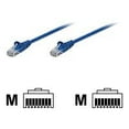 thumbnail image 1 of Intellinet Network Solutions Cat5e UTP Network Patch Cable, 100 ft (30 m), Blue, 1 of 2