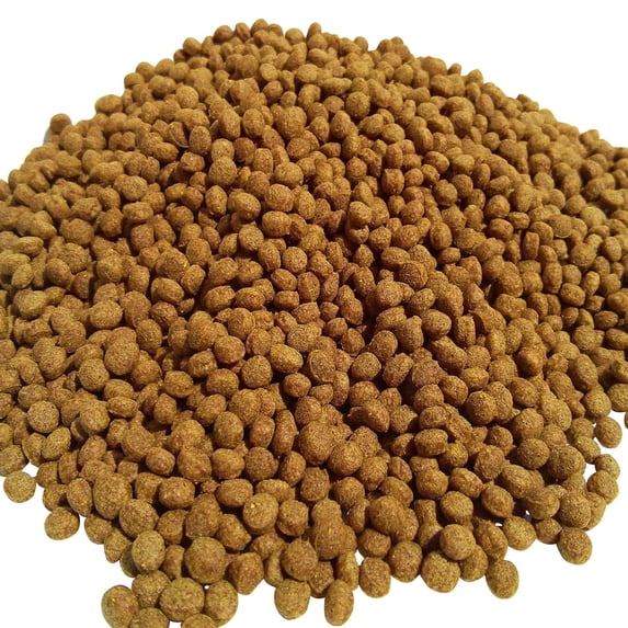 Intense GROWTH Koi & Pond Pellets (Apx 8mm-5/16")…5-lbs
