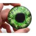 thumbnail image 1 of Intense Green Human Glass Eyes, 1 of 9
