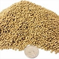 thumbnail image 1 of Intense Growth Baby Koi & Pond Fish Floating Pellets (Apx 3mm-1/8")…20-lbs, 1 of 1