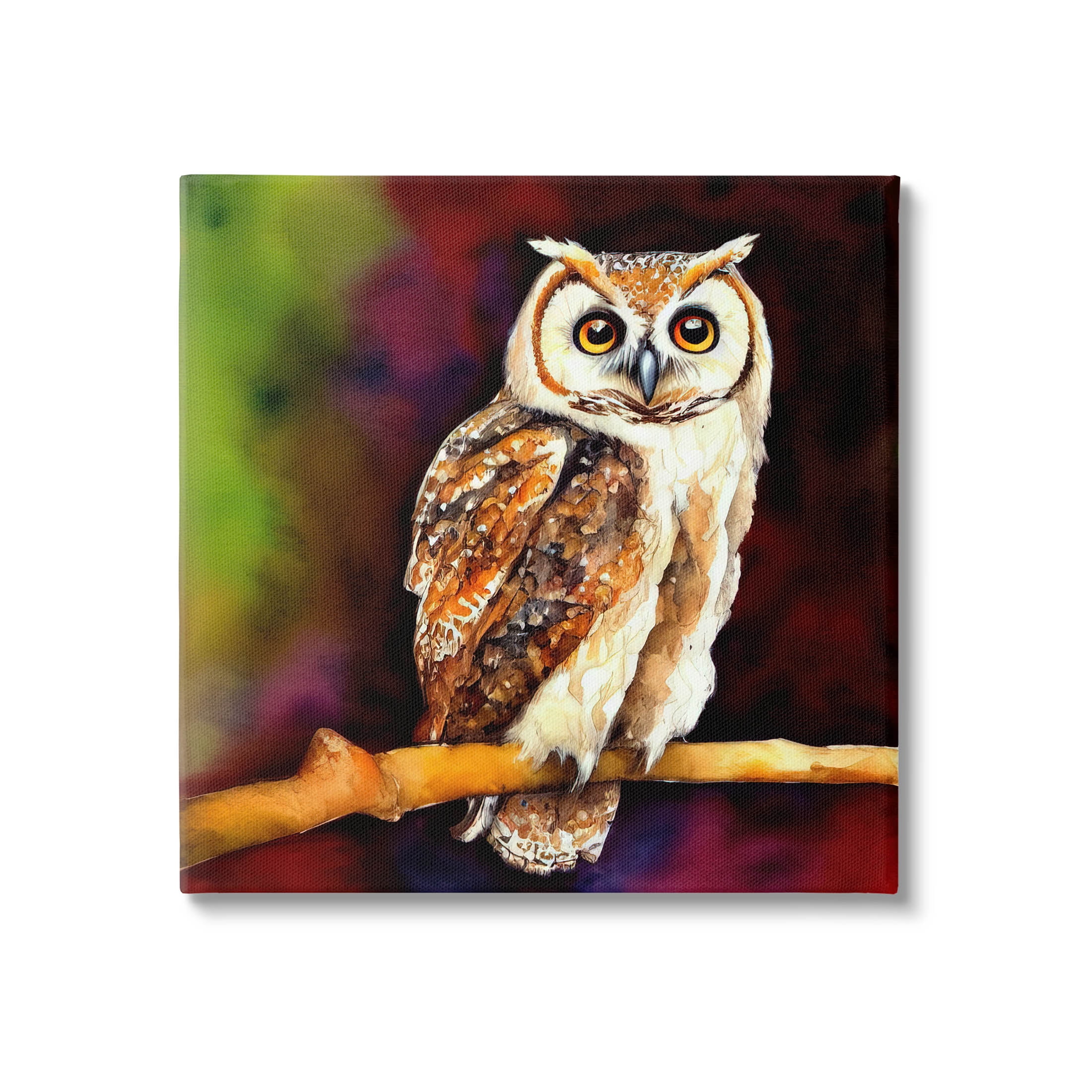 Intense Owl Gazing Perched Animals & Insects Painting Gallery Wrapped Canvas Print Wall Art