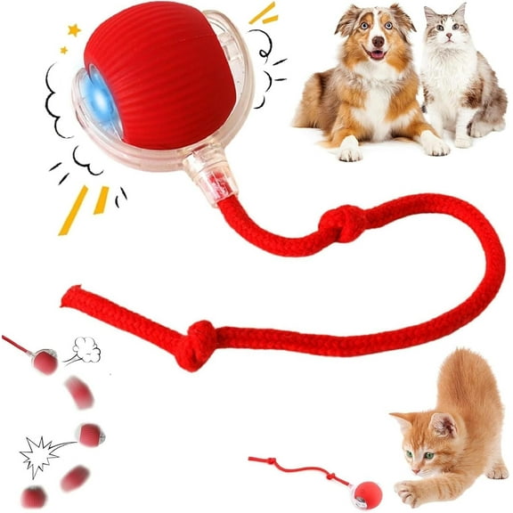 Interactive Automatic Indoor Cat Dog Toys Ball, 360Fully Rechargeable Rolling Moving Ball, Smart Pet Chase Ball with Speedy Tail Rope, Stimulates Hunting Instincts and Promotes Exercise