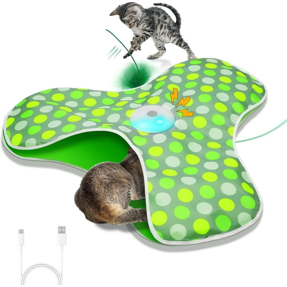 Interactive , Automatic for Indoor Cats, and Seek with Motion Activated, Moving , Chirping,