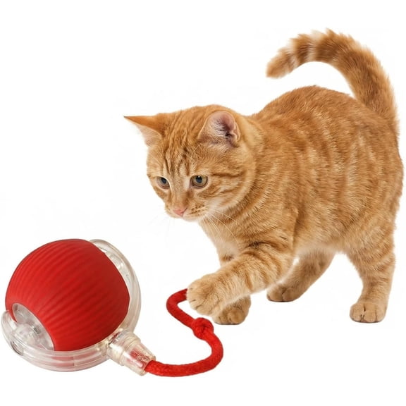 Interactive    Ball, Electric Automatic Rolling Moving USB Rechargeable Self Activated   with Speedy Tail Rope for Indoor Cats and Dogs (Red)