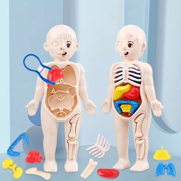 Interactive Biology Building Toys for Kids Anatomy & Cell Science Model Kit