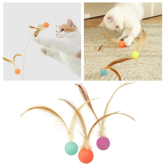 Interactive Bouncy Feather Toy for Cats Indoor Exercise Sensory Stimulation Training Play