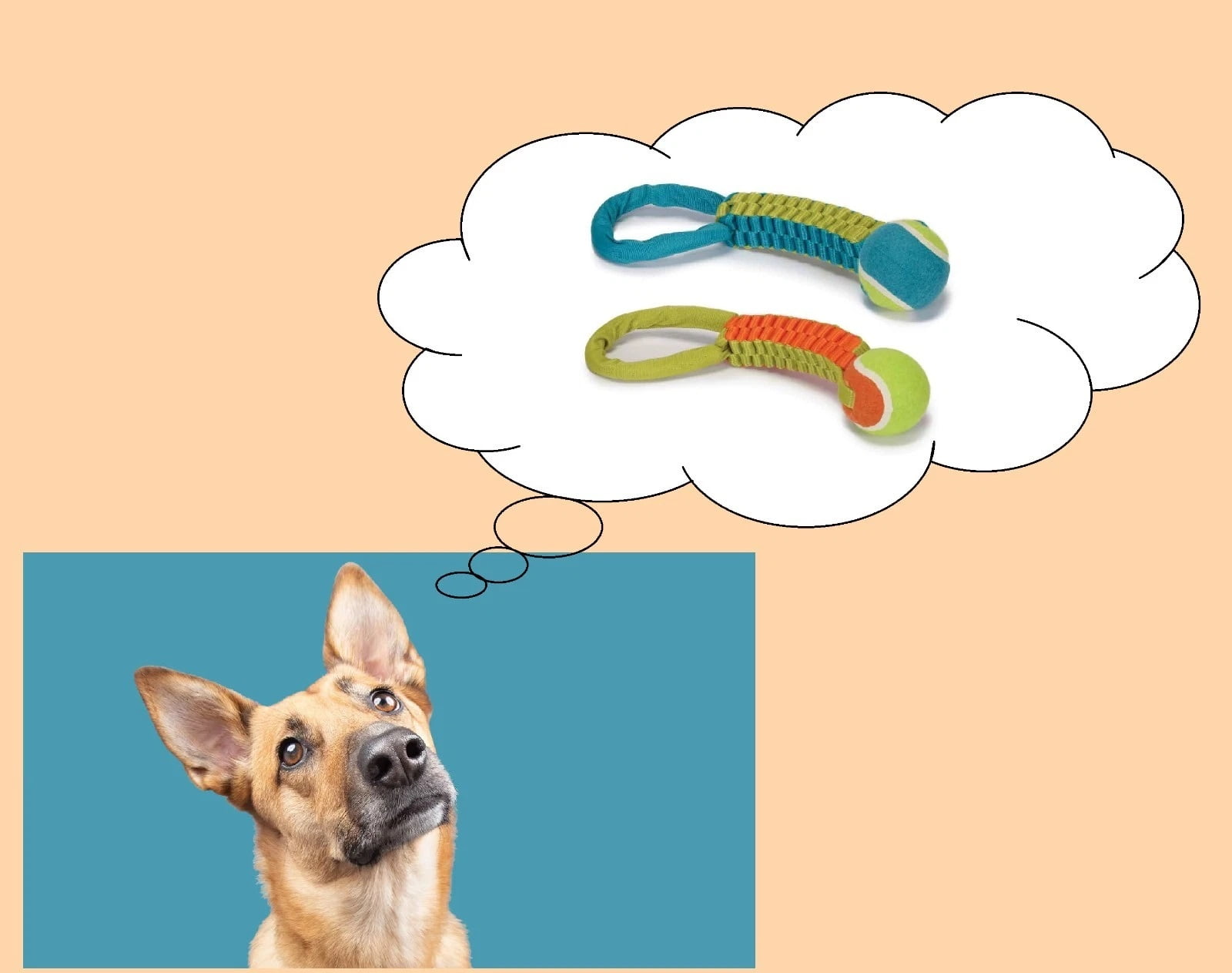 Interactive Braided Nylon Body Tennis Ball 12 Inch Dog Tug Toy Dual Materials (Full Set - Both Colors)