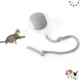 Interactive Cat Ball Toy, 2024 New Automatic Moving Dog Cat Balls, Cat