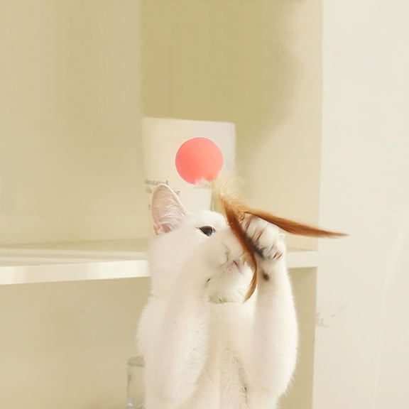 Interactive Cat and Dog Bouncy Ball Toy with Chicken Feathers, Elastic Jumping Pet Toy for Indoor and Outdoor Play, Exercise Training Toy for Hunting Instinct Stimulation and Active Entertainment