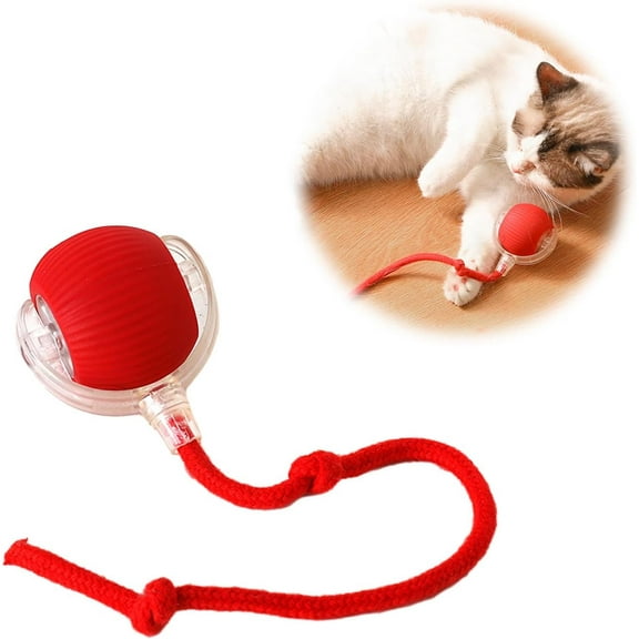 Interactive Cat Dog Toys Ball, Motion Activate Electric Cat Toy, Automatic Pet Exercise Toys, USB Rechargeable Cat Toys for Bored Indoor Cats