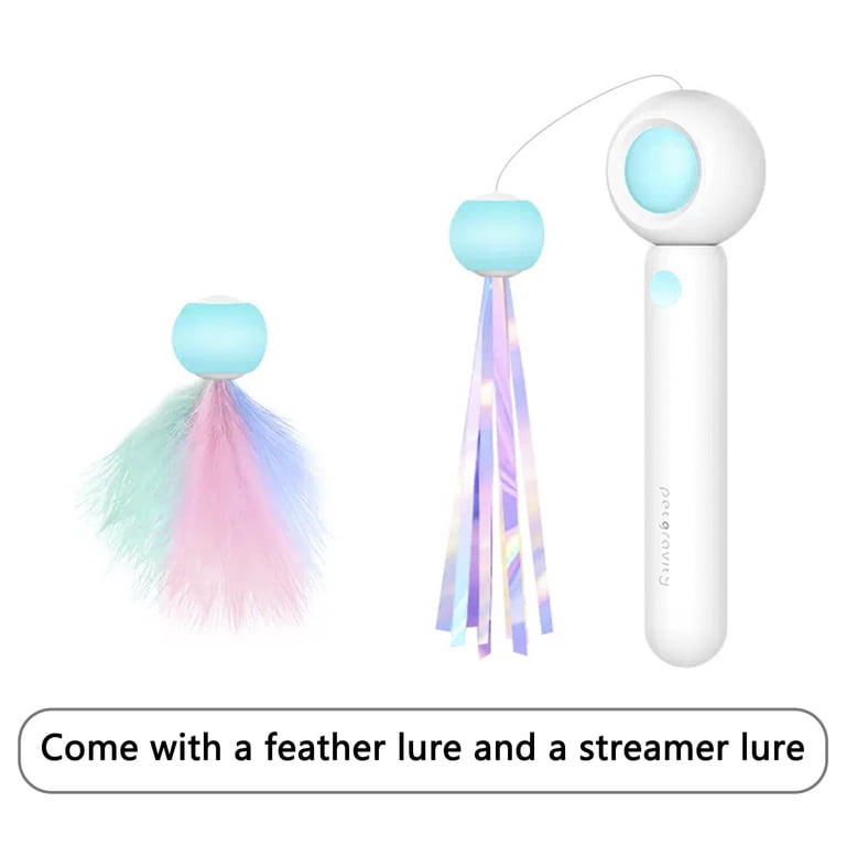 cat toy wand interactive play session with feather teaser ending in capture