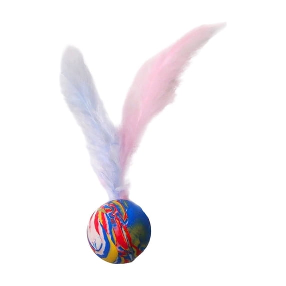 Cat Teaser Play Toy for Indoor Outdoor Elastic Teaser Durable Entertainment for Cats and Dogs