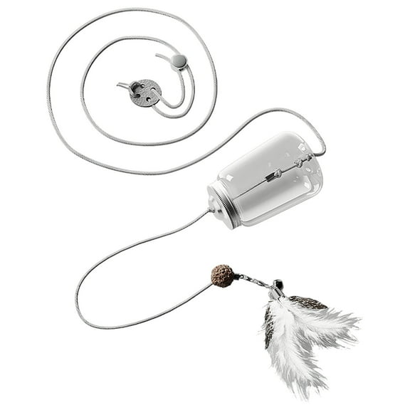Interactive Cat Teasers for Indoor Cats Wand with Feathers Play Toy for Exercise and