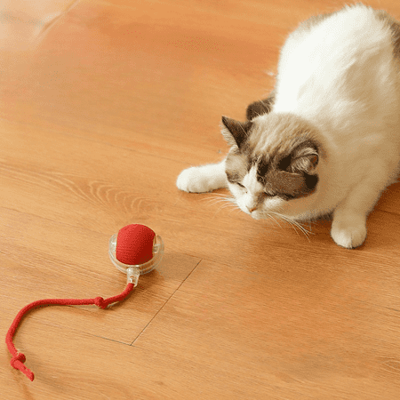 Interactive Smart Cat Toy Ball with Tail – Fast Rolling, Indestructible, Carpet-Friendly, USB Rechargeable Pet Toy