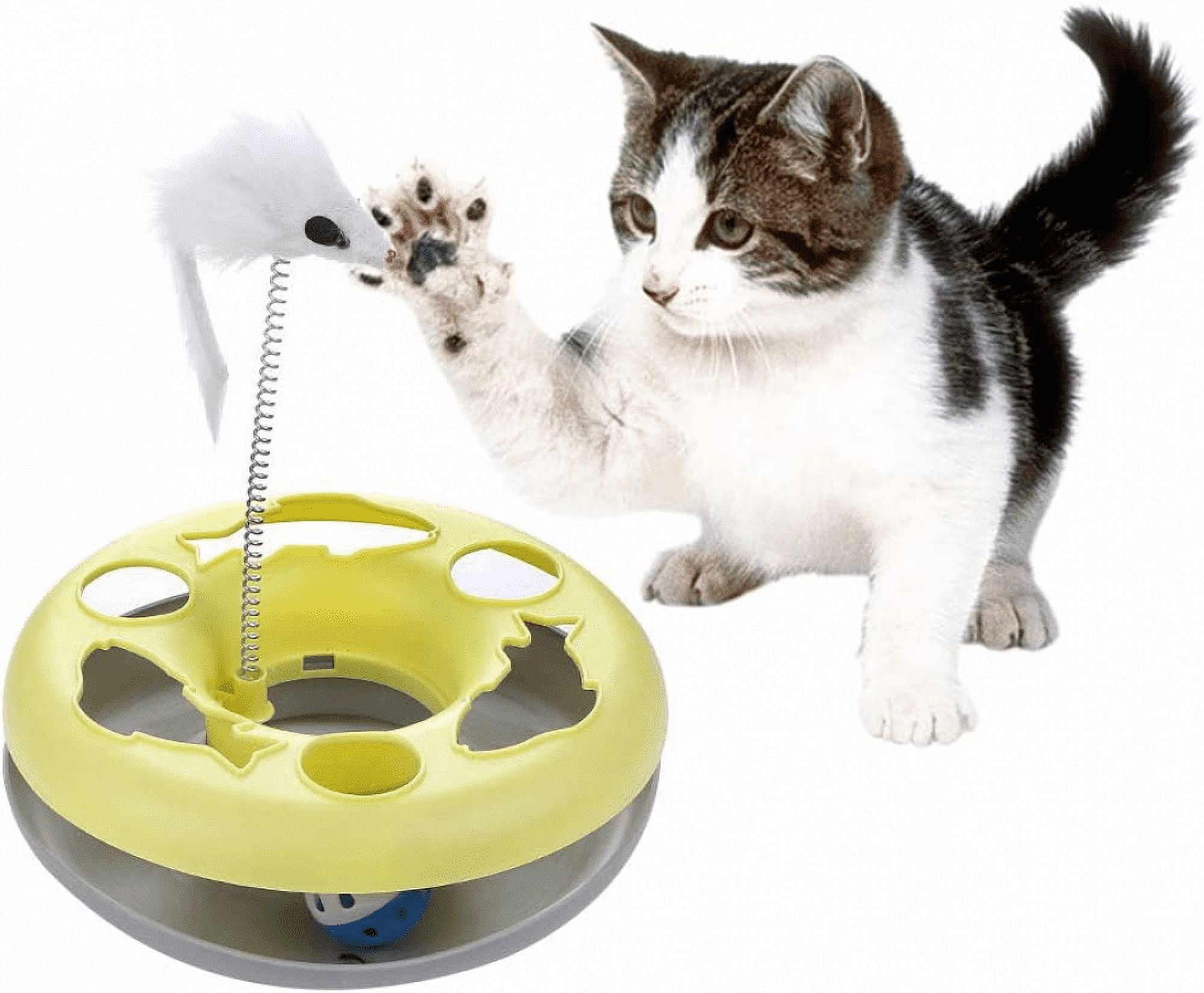 Toy Mouse Track Interactive Cat Toy, Mouse Circle Track with 1 Moving Ball Cat ...