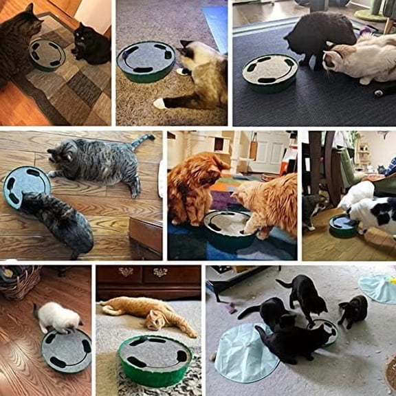 Interactive Cat Toy with Running Mouse, Electronic Motion Cat Toy Automatic Teaser for Indoor Cats, Pop and Play Hide Seek Cats Toys Hunting Mouse for Pet Kitten Play Fun Exercise, Blue