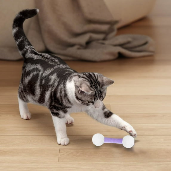Interactive Cat Toy Set with Soft Chew Toys for Indoor