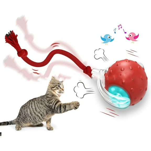 Interactive Cat Toys Ball for Indoor Cats Electric Chirping Bird Fast Moving Rolling Ball on Carpet, Chirping & Motion Activate Kitty Cat Toys (Red)