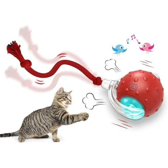 Interactive Cat Toys Ball for Indoor Cats Fast Rolling on Carpet, Chirping & Motion Activate Cat Toys