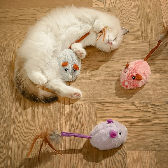 Interactive Cat Toys, Motorized Mouse Teaser with Irregular Route Function, Self Play Exercise for Indoor Cats, Home Entertainment, Play Activity, Ihhxbz