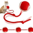 Interactive Cat Toys for Indoor Cats,2025 New Agility Move Cat Balls