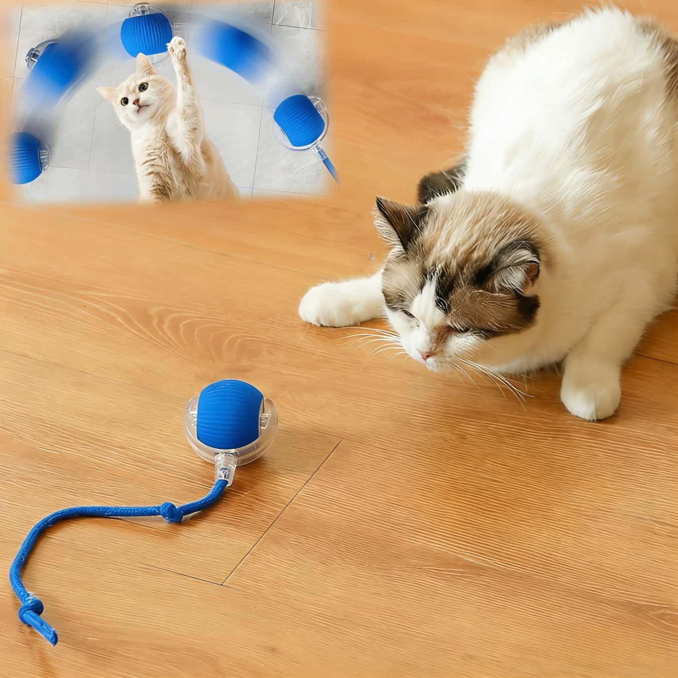 Interactive Cat Toys for Indoor Cats, Agility Move Cat Balls,Motion Activated Cat Balls, Cat Toys for Bored Indoor Cats