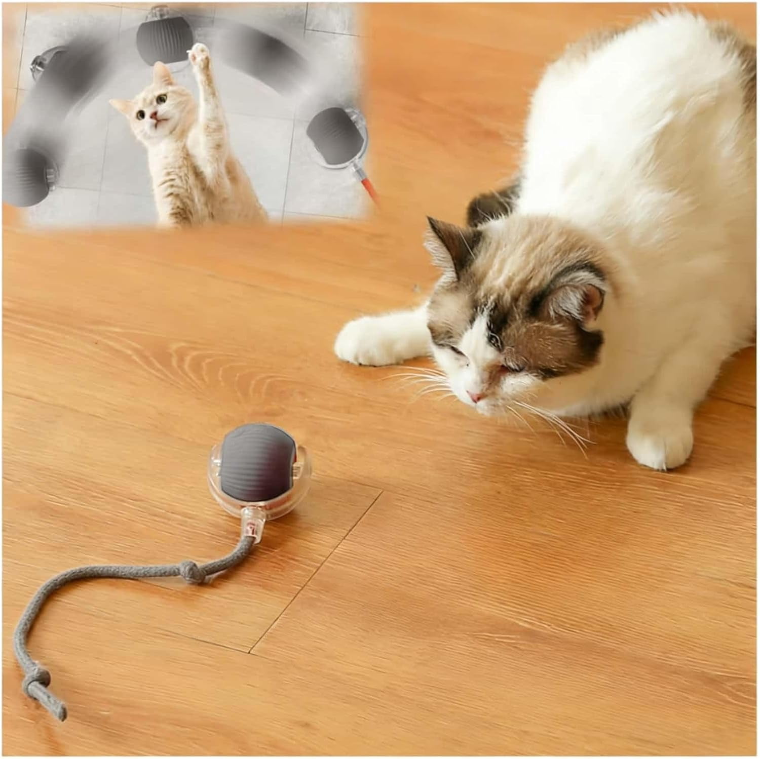 Interactive Cat Toys for Indoor Cats, Agility Move Cat Balls,Motion Activated Cat Balls, Cat Toys for Bored Indoor Cats