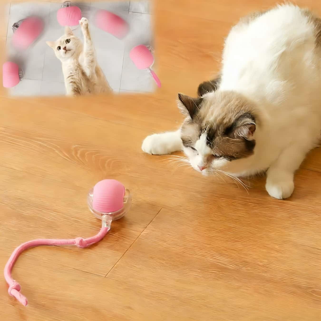 Interactive Cat Toys for Indoor Cats, Agility Move Cat Balls,Motion Activated Cat Balls, Cat Toys for Bored Indoor Cats