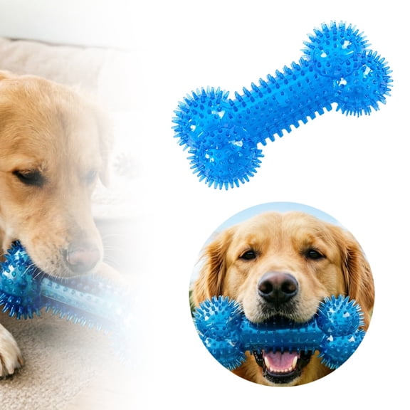 Interactive Chew Toy for Dogs with Squeaker Bone – Teething Toy for Indoor Outdoor