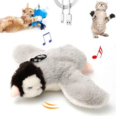 Interactive Chirping Bird Cat Toy - Automatic Sound For Play & Exercise