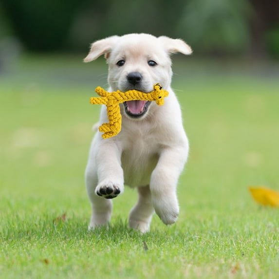 Interactive Cotton Rope Dog Toy Cute Rabbit Bear Giraffe Octopus Shape Dog Chew Toy Bite-resistant Pet Squeaky Toy-Giraffe