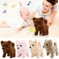 thumbnail image 1 of Interactive Cream Chow Chow Plush - Walking Electronic Pet with Motorized Sound & Light Companion Toy, 1 of 3