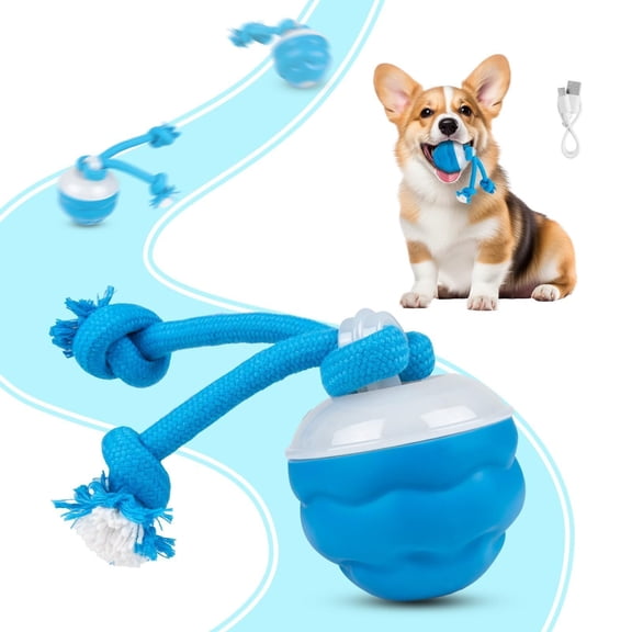 Interactive Dog Ball, Motion Activated Moving Dog Toy, Smart Rolling Electric Dog Toy with Sound, USB Type-C Rechargeable Stimulating Dog Toys for Dogs Interactive Play, Chase Buddy Dog Toy