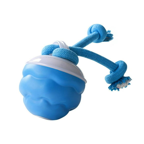 Interactive Dog Ball Toy,2026 New Smart Automatic Rolling Toy with Chew Rope & Sound for Puppy/Small Dogs,Squeak DogToy,Touch Activated, USB Rechargeable,Dog Stimulation Toys to Keep Them Busy