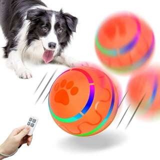 BigTuto Interactive Dog Ball Toys, Active Rolling Ball for Dogs/Cats with  Motion Activated/USB Rechargeable, Automatic Rolling Ball Toys for