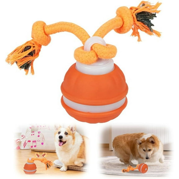 Interactive Dog Toys, 2026 Upgrade Automatic Rolling Ball with Squeaky Sounds & Rope, Smart Electric Chase Toy for Small Medium Dogs and Puppies