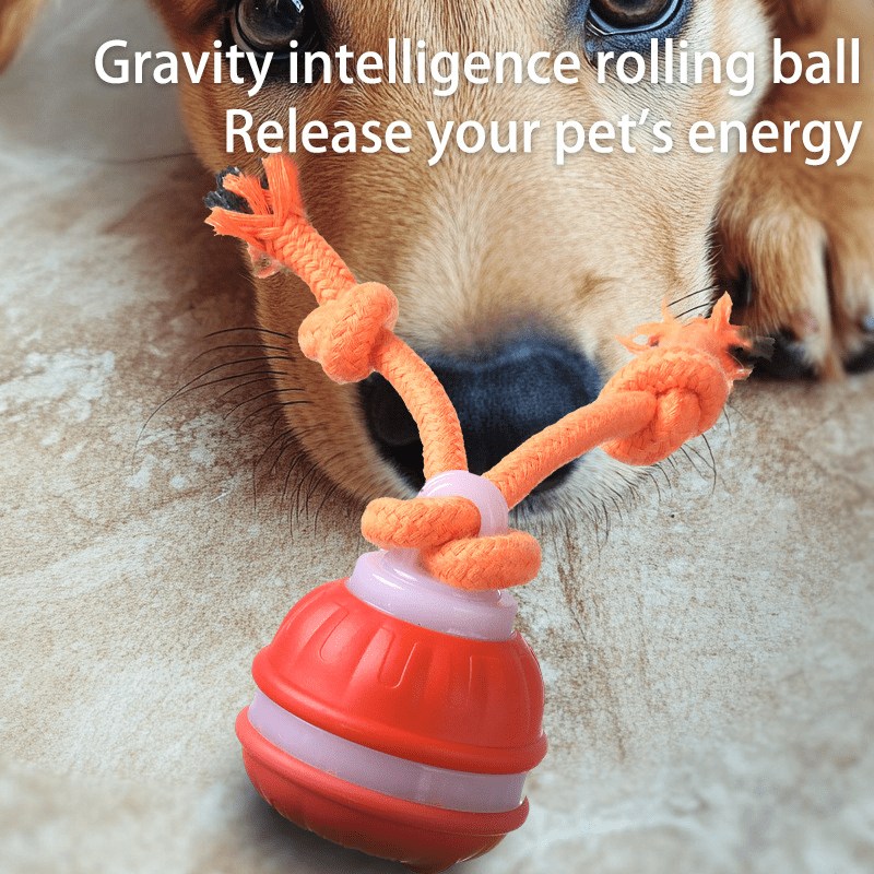 Interactive Dog Toys Ball, Fun Moving Motion Activated Dog Ball Toys to Keep Them Busy, Rechargeable Smart Automatic Rolling Dog Ball for Small Puppy Dogs