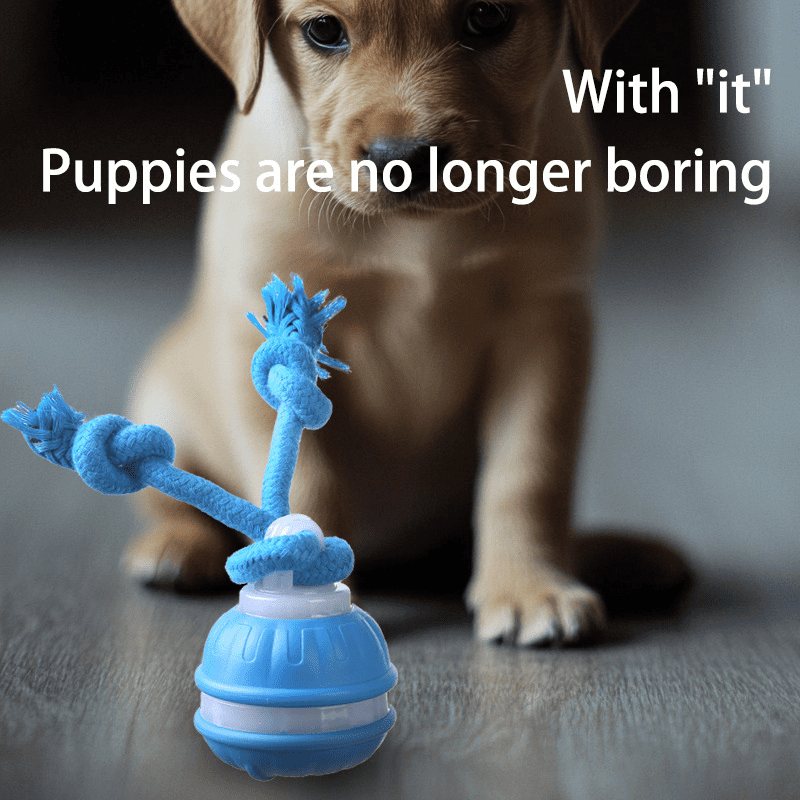 Interactive Dog Toys Ball, Fun Moving Motion Activated Dog Ball Toys to Keep Them Busy, Rechargeable Smart Automatic Rolling Dog Ball for Small Puppy Dogs