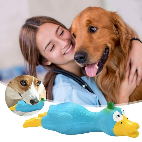 Interactive Dog Toys Latex Miserable Chicken Squeaky Chew Play for Small Large