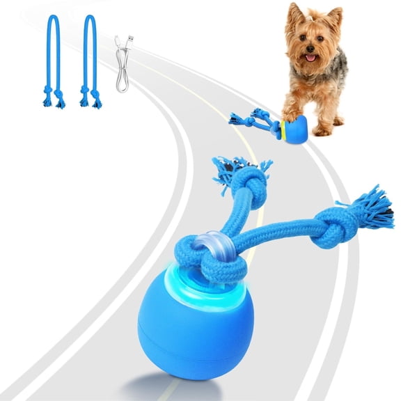 Interactive Dog Toys, Moving Dog Ball with Touch Activated, Squeaky Dog Toy, Active Rolling Ball for Puppy and Medium Dogs, Wicked Ball, USB Rechargeable