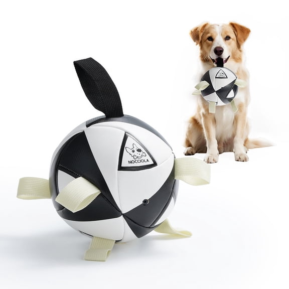 Dog Soccer