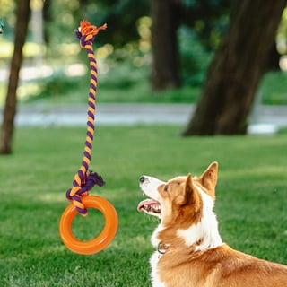 Dog yard outlet toys