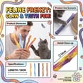 thumbnail image 1 of Interactive Elastic Spring Cat Toy Set 5pc - Colorful Stretchable Scratch-Resistant Tubes, Fun Chew Toys for Kittens & Cats, 1 of 5