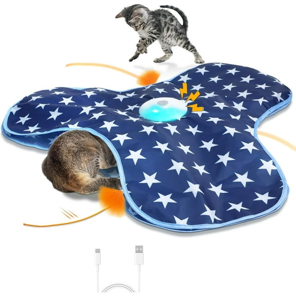 Interactive , Exercise for Indoor Bored Adult Cats, and Seek with Motion Activated, Moving , Chirping