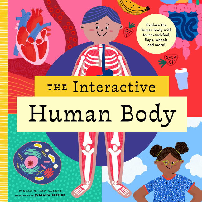 Interactive Explorer: The Interactive Human Body : Explore the Human ...