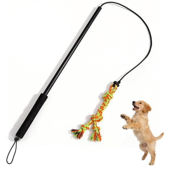 1 Count Flirt Pole for Dogs Interactive Dog Toys for Medium Small Dogs Chase and Tug of War, Dog Teaser Wand with Lure Chewing Toy for Outdoor Exercise & Training