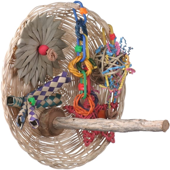 Interactive Foraging Bird Toy, Small/Medium Birds, Parakeets, Cockatiels - Busy Birdie  Perch