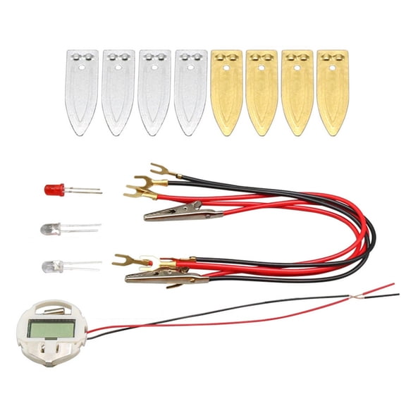 Interactive Fruit Powered Electricity Experiment Set Educational Fruit Power Generation Experiment for Student Teacher