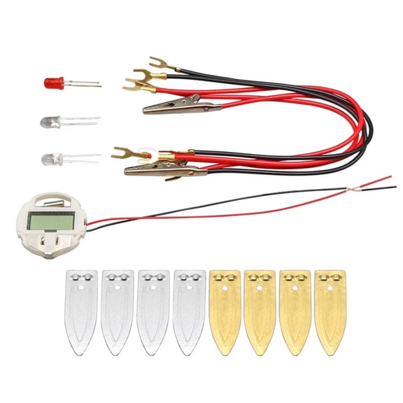 Interactive Fruit Powered Electricity Experiment Set Educational Fruit Power Generation Experiment for Student Teacher